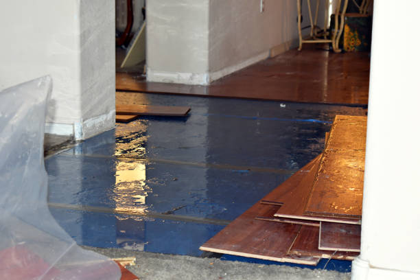Professional Basement Flooding technician working in Holland, TX